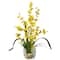 19" Yellow Dancing Lady Orchid Arrangement in Glass Vase